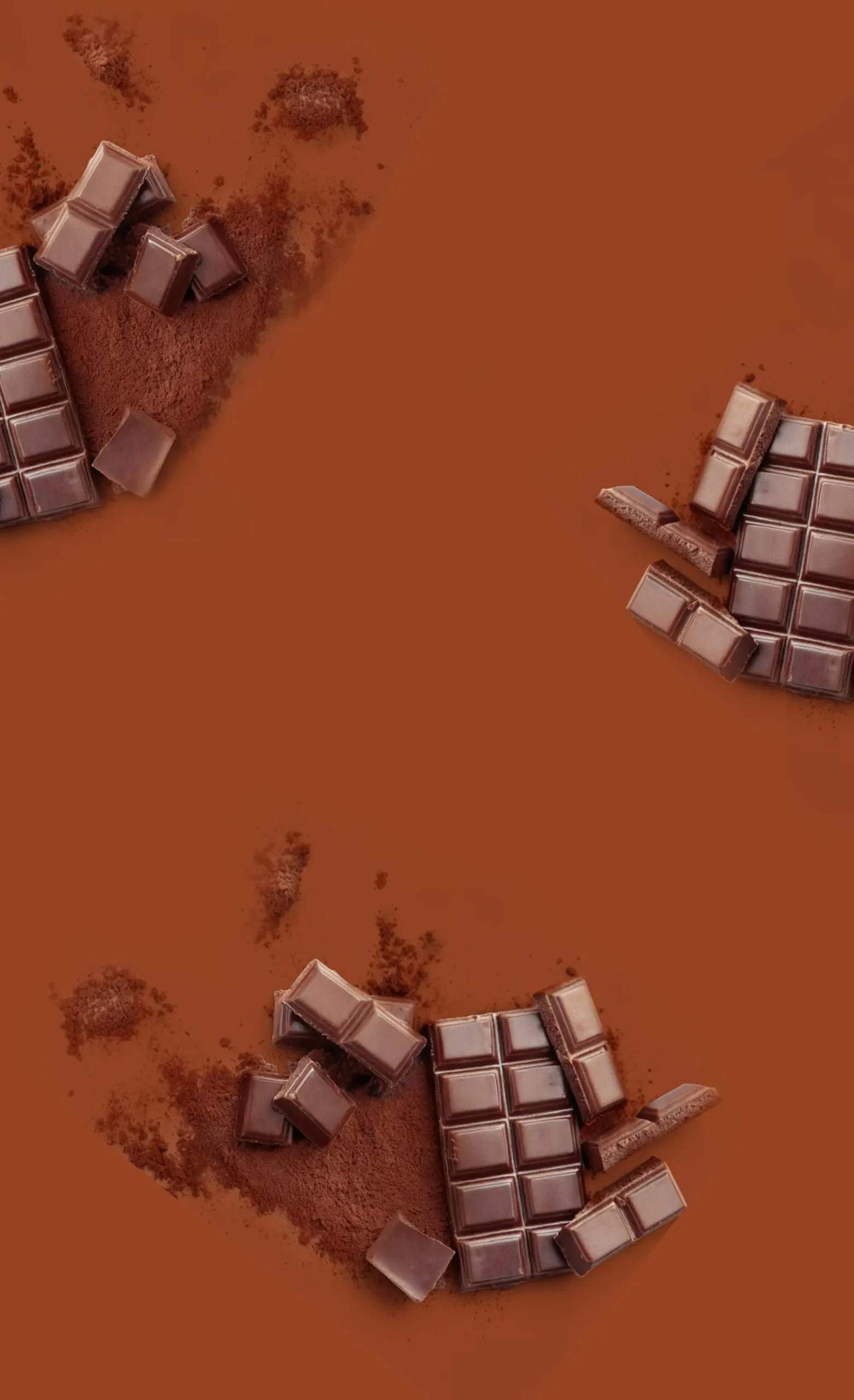 Imagem de fundo: Bolo de Chocolate com aveia e chia zero adição de açúcar